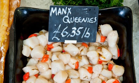 Isle-of-Man-queen-scallop-008