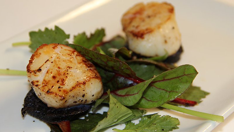 scallops and black pudding